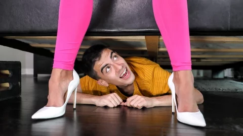 Hide And Peep
